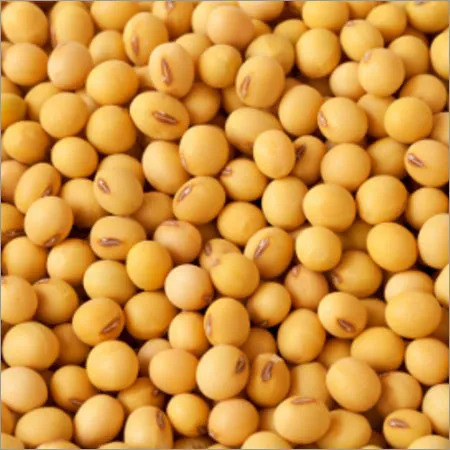 Soya Bean Organic Carrier Oil 1